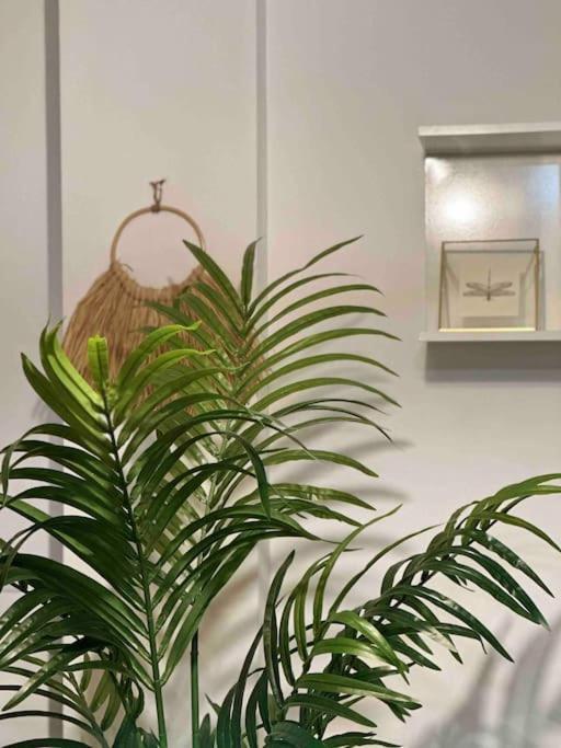Apartamento El Picu Collanzo Exteriér fotografie