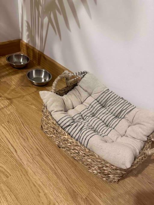 Apartamento El Picu Collanzo Exteriér fotografie
