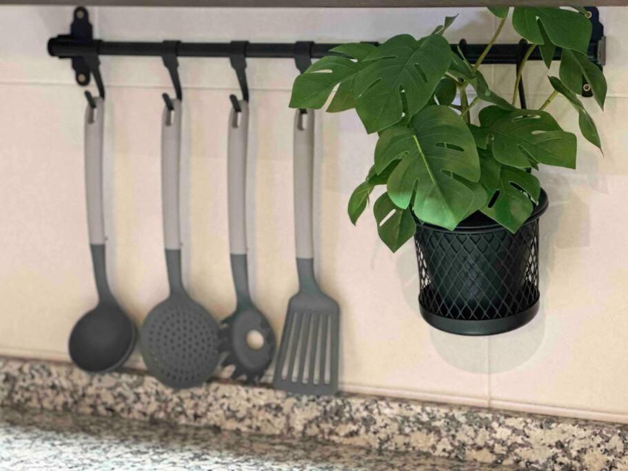 Apartamento El Picu Collanzo Exteriér fotografie