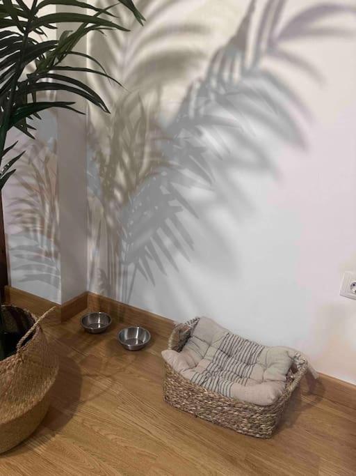 Apartamento El Picu Collanzo Exteriér fotografie
